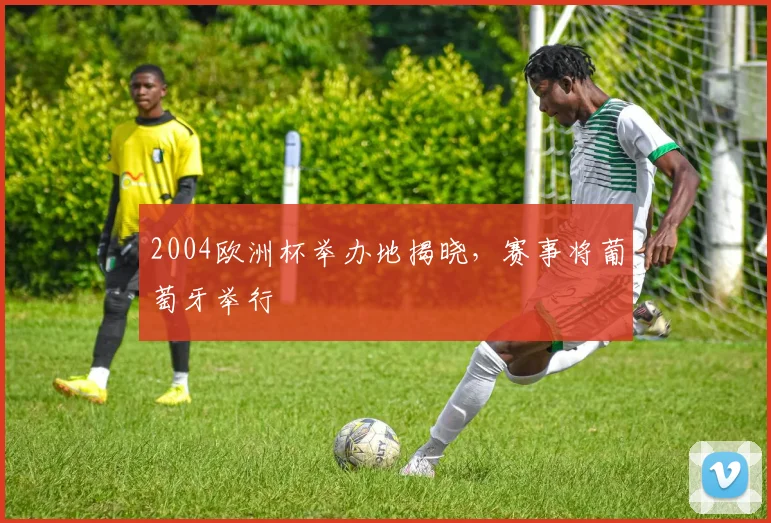 2004欧洲杯举办地揭晓,赛事将葡萄牙举行