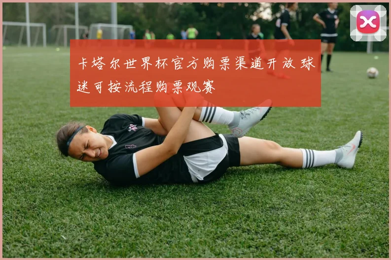 卡塔尔世界杯官方购票渠道开放 球迷可按流程购票观赛