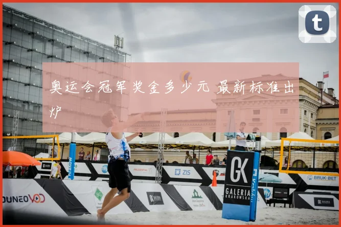 奥运会冠军奖金多少元 最新标准出炉