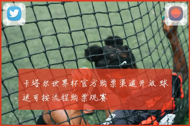 卡塔尔世界杯官方购票渠道开放 球迷可按流程购票观赛